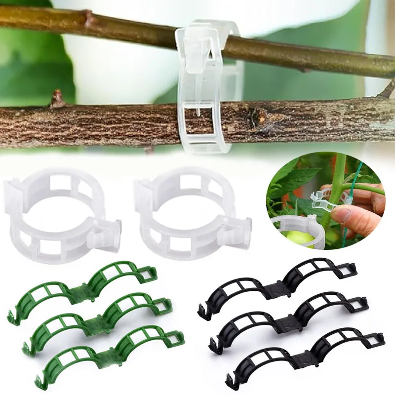Gardening Tools For Vines - 100 buah klip perbaikan tanaman tanaman