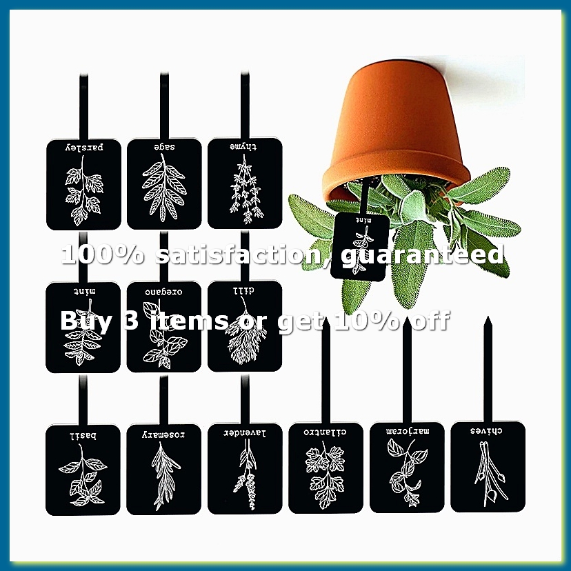 Gardening Tools With Names - 24 Buah Label Tanaman Akrilik 12