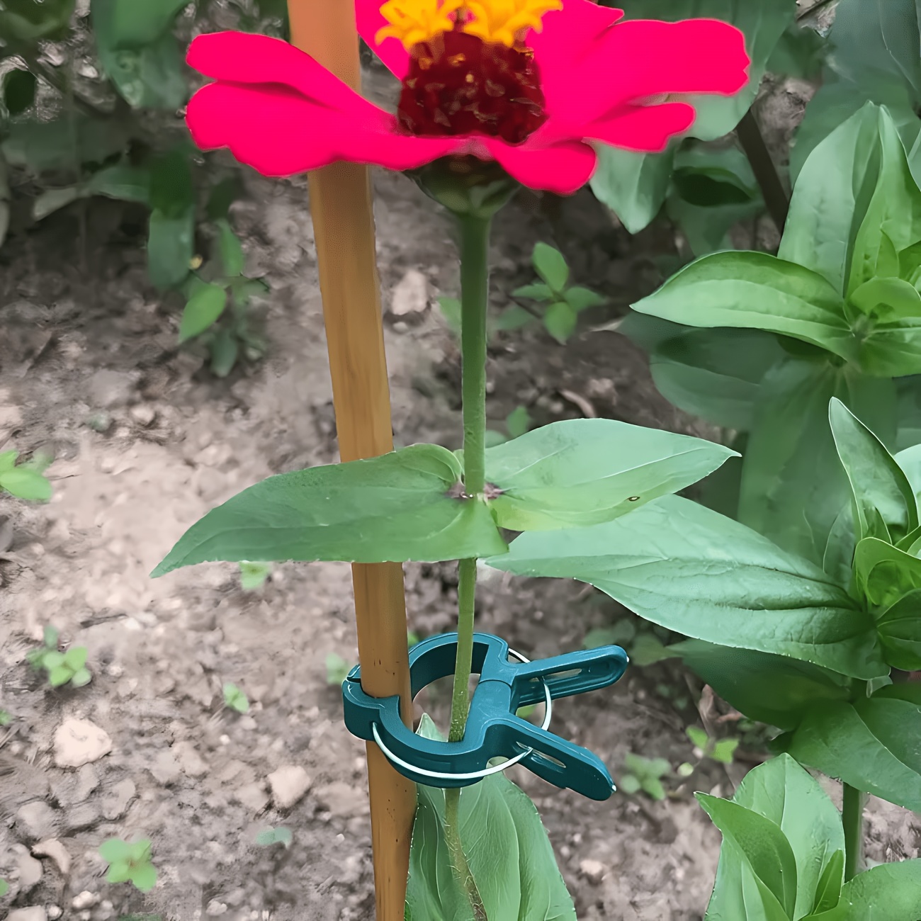 Gardening Tools Essential - 5 Buah Klip Tanaman yang Dapat