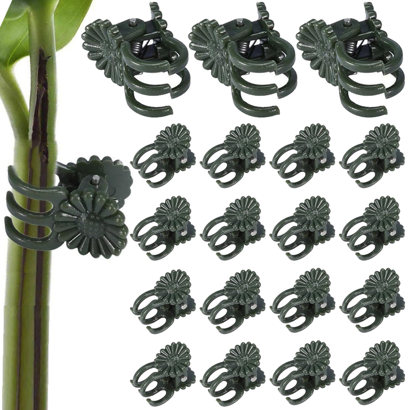 Gardening Tools For Vines - Klip tanaman penjepit anggur, 20/50/100 buah