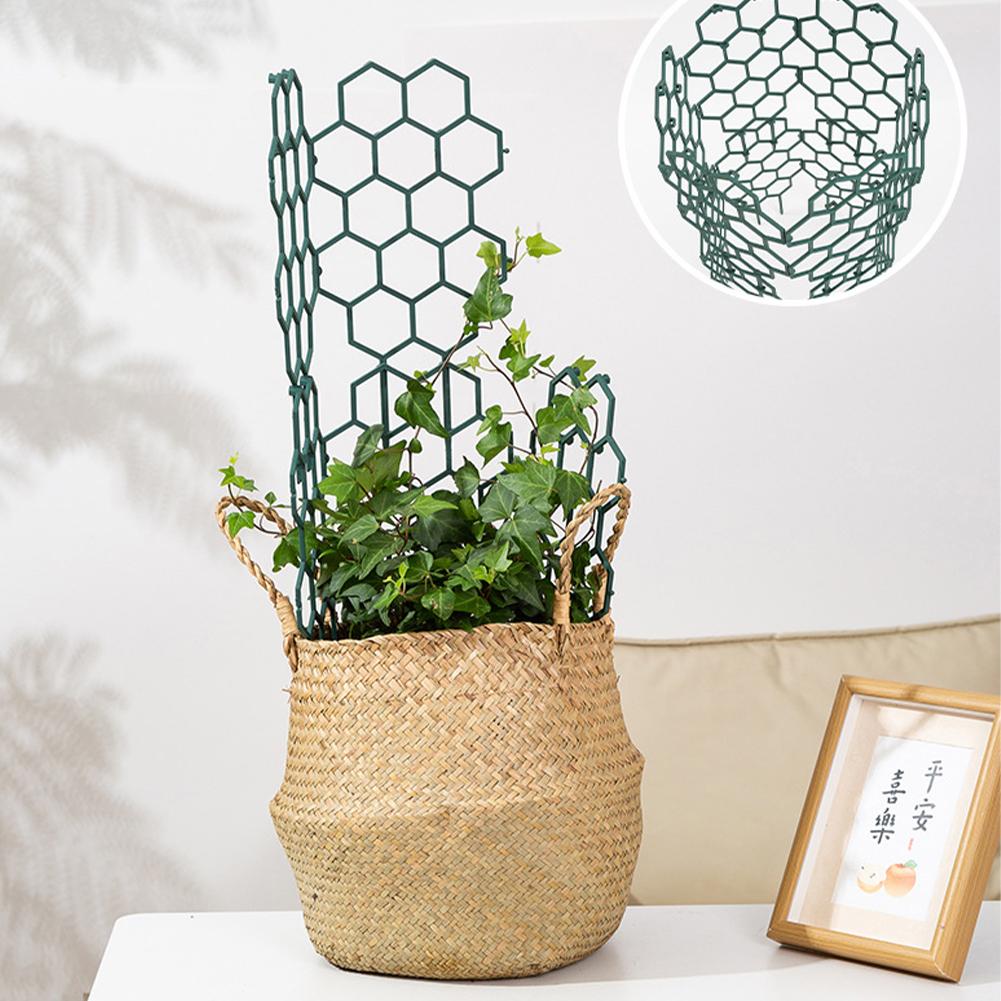 1/2/5 Buah Bingkai Penyangga T - Gardening Tools For Vines ulasan dan harga