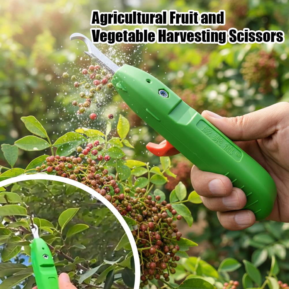 Gunting Pangkas untuk Berkebun - Gardening Tools Scissors ulasan dan harga