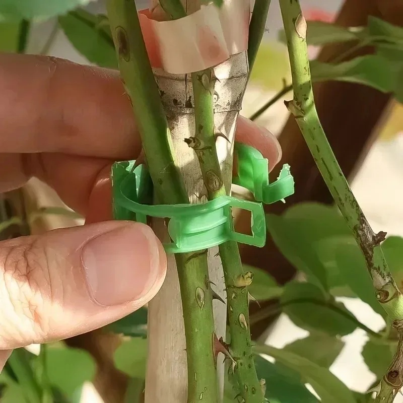 50-100 buah Klip Penyangga Tan - Gardening Tools For Vines ulasan dan harga