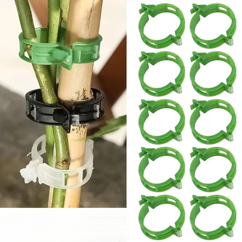 50-100 buah Klip Penyangga Tan - Gardening Tools For Vines ulasan dan harga