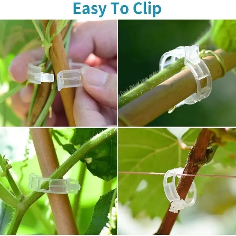 50-100 buah Klip Penyangga Tan - Gardening Tools For Vines ulasan dan harga
