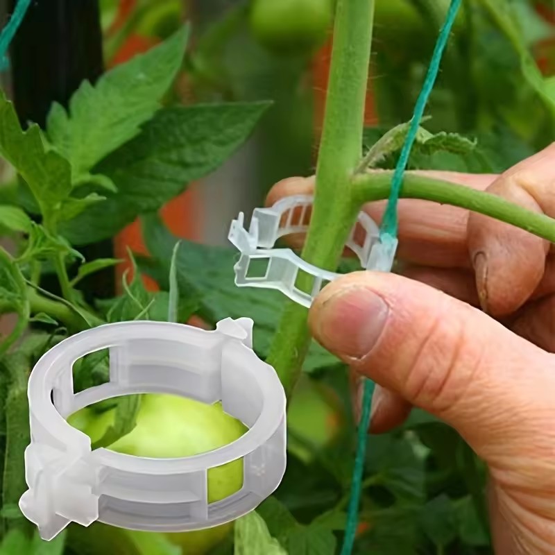20 Buah Klip Tanaman Penyangga - Gardening Tools For Vines ulasan dan harga