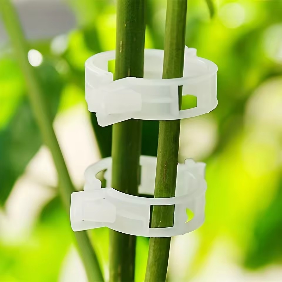 20 Buah Klip Tanaman Penyangga - Gardening Tools For Vines ulasan dan harga