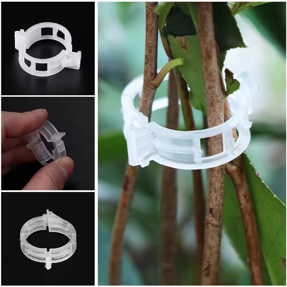 20 Buah Klip Tanaman Penyangga - Gardening Tools For Vines ulasan dan harga