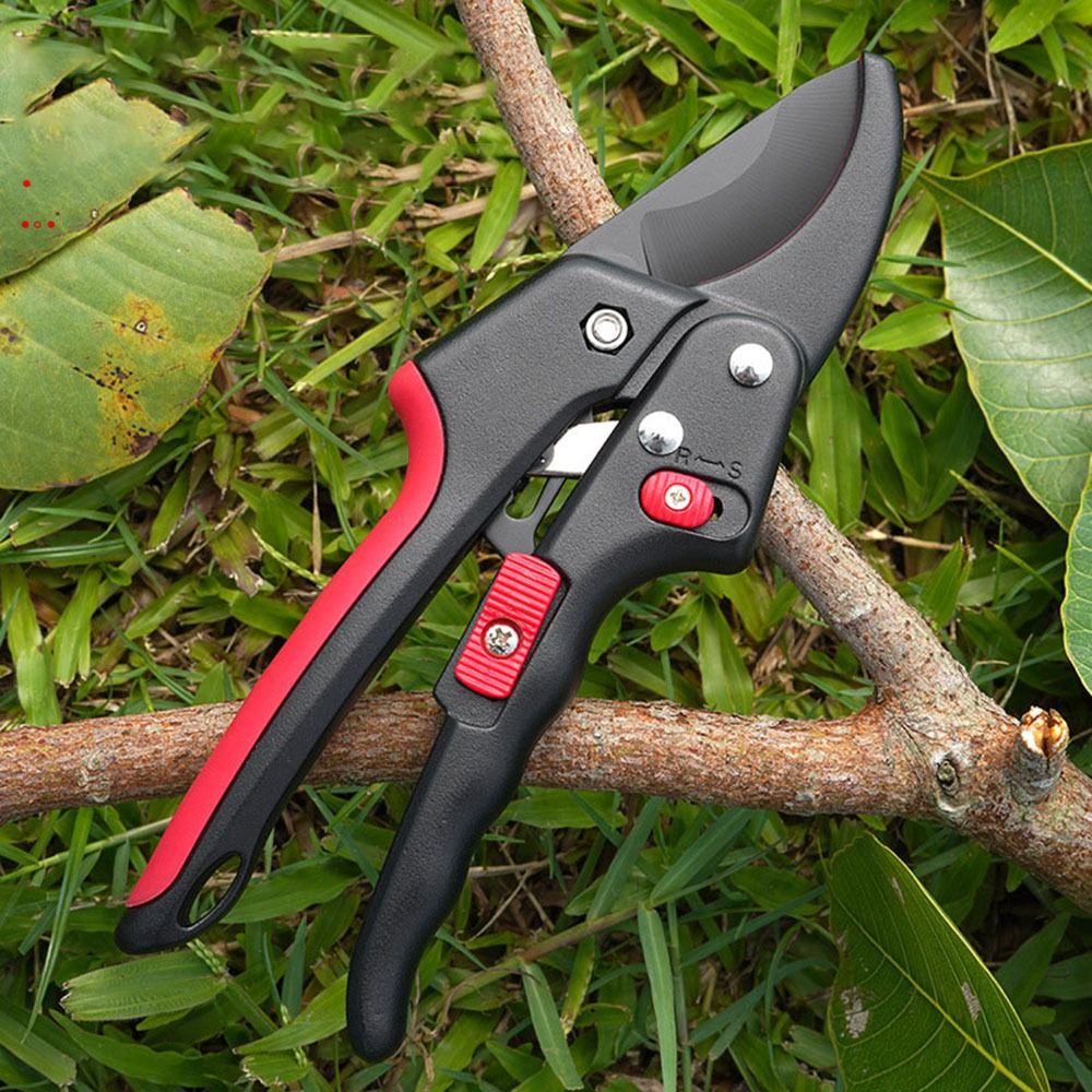 Gunting Pangkas Tanaman Ratche - Gardening Tools Sharp ulasan dan harga