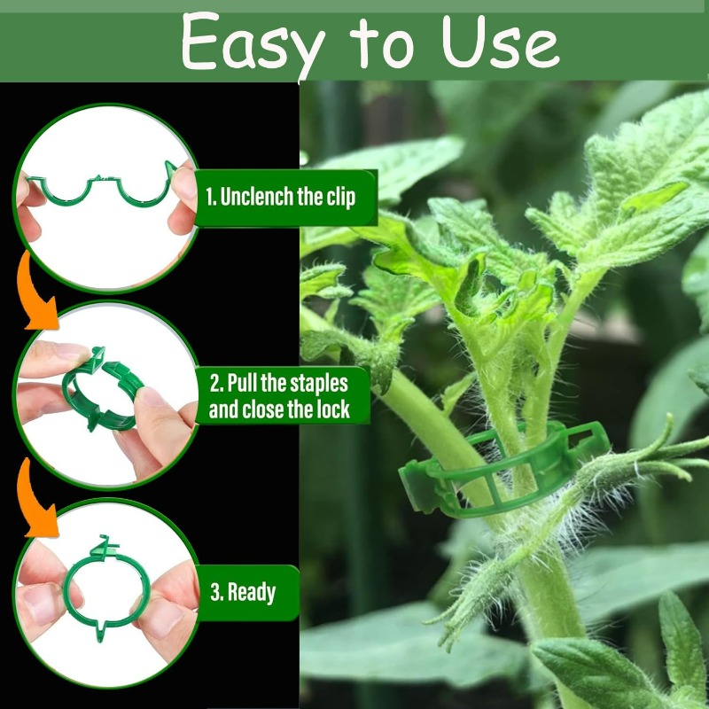 10/600 Buah Klip Penyangga Tan - Gardening Tools For Vines ulasan dan harga