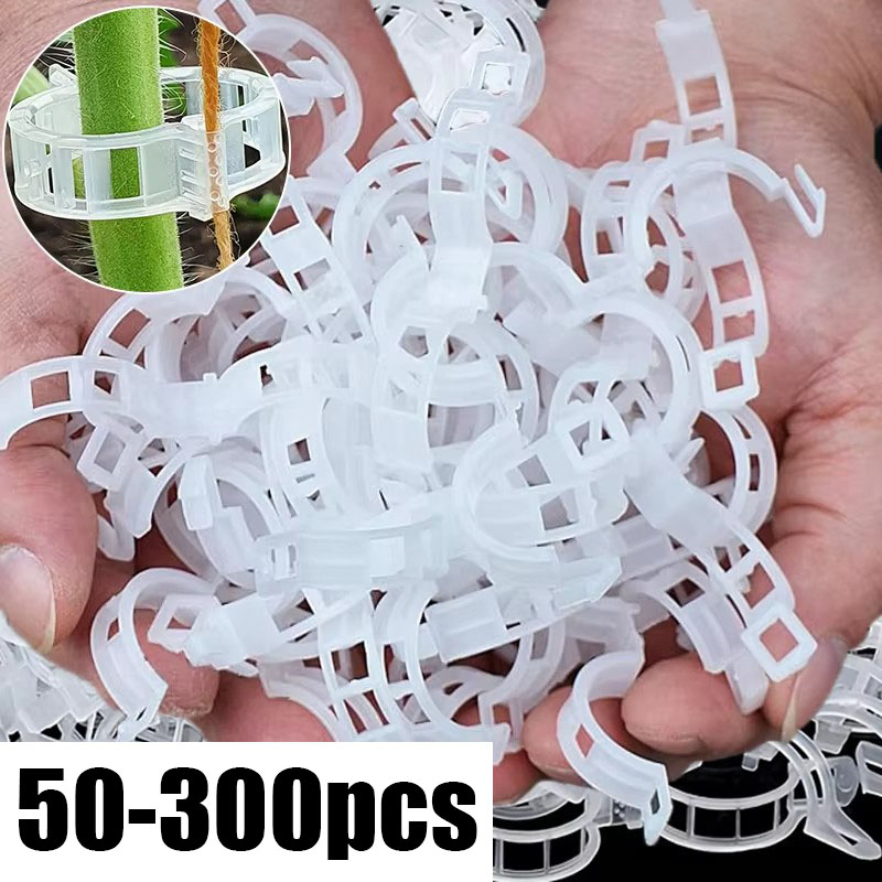50-300 Buah Klip Penyangga Tan - Gardening Tools For Vines ulasan dan harga