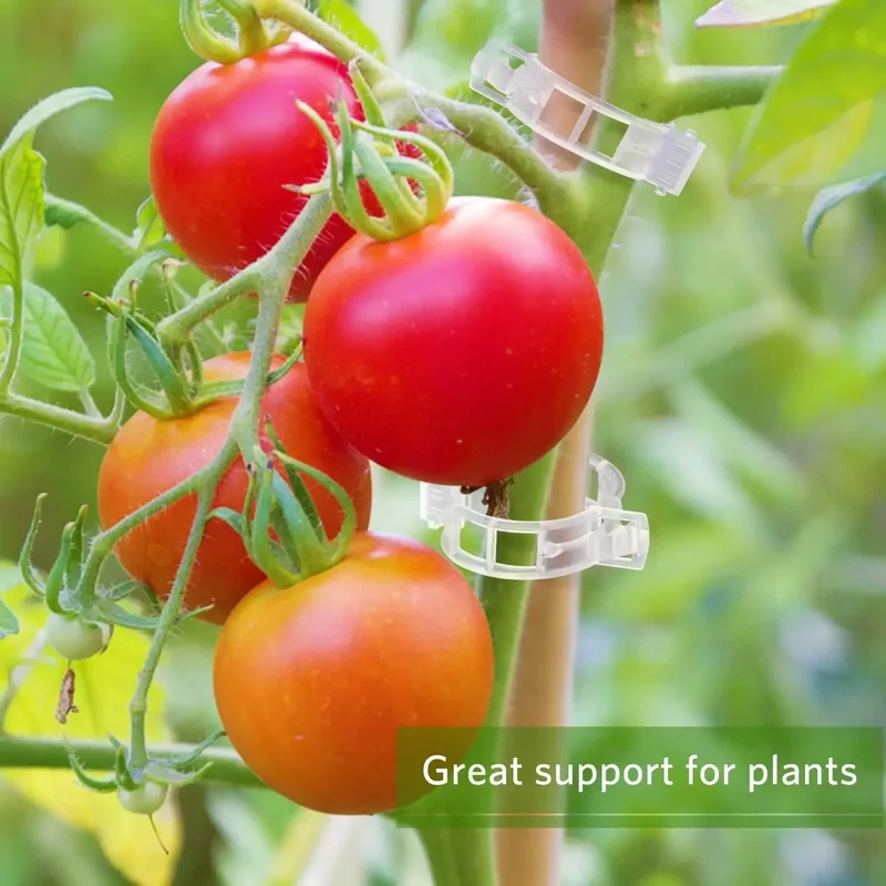 50-300 Buah Klip Penyangga Tan - Gardening Tools For Vines ulasan dan harga