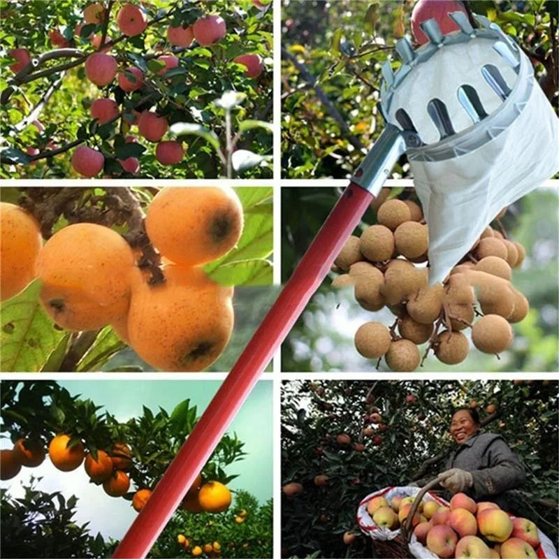 Pemetik Buah Taman, Alat Pemet - Gardening Tools Scissors ulasan dan harga