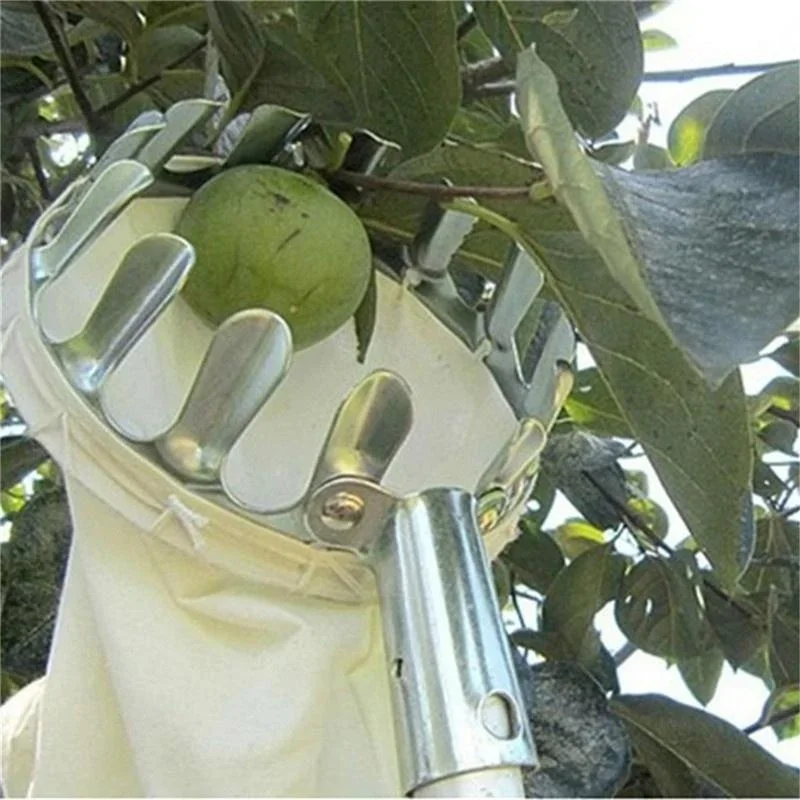 Pemetik Buah Taman, Alat Pemet - Gardening Tools Scissors ulasan dan harga