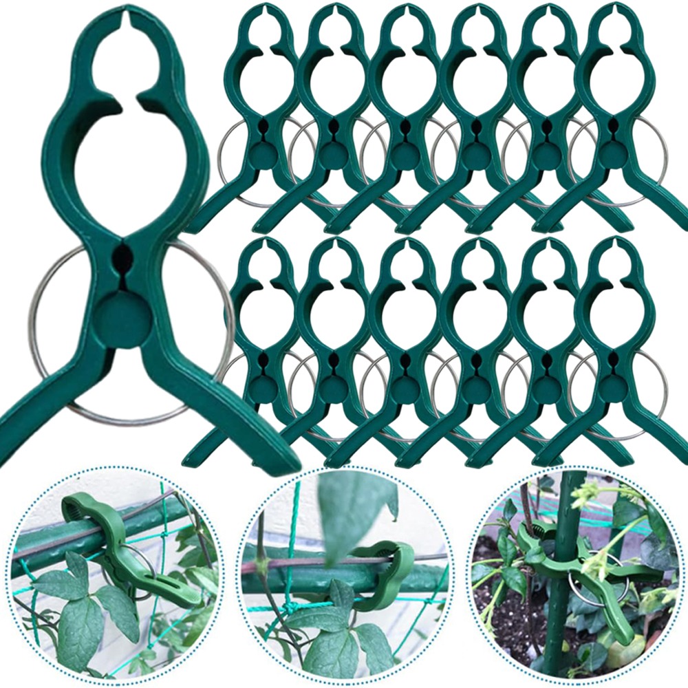 50/10 Buah Klip Penyangga Tana - Gardening Tools For Vines ulasan dan harga