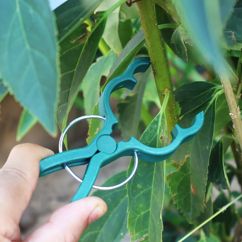 50/10 Buah Klip Penyangga Tana - Gardening Tools For Vines ulasan dan harga
