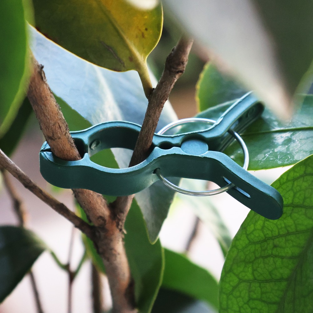 50/10 Buah Klip Penyangga Tana - Gardening Tools For Vines ulasan dan harga