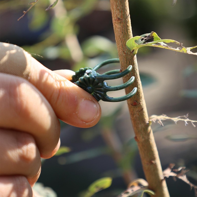 Klip Penyangga Tanaman Mini Gr - Gardening Tools For Vines ulasan dan harga