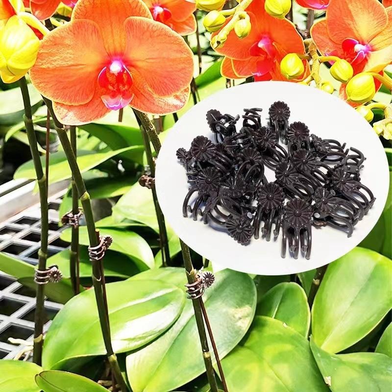 Klip Penyangga Tanaman Mini Gr - Gardening Tools For Vines ulasan dan harga