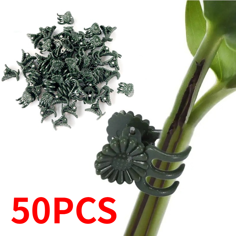 50 Buah Penjepit Tanaman Hijau - Gardening Tools For Vines ulasan dan harga