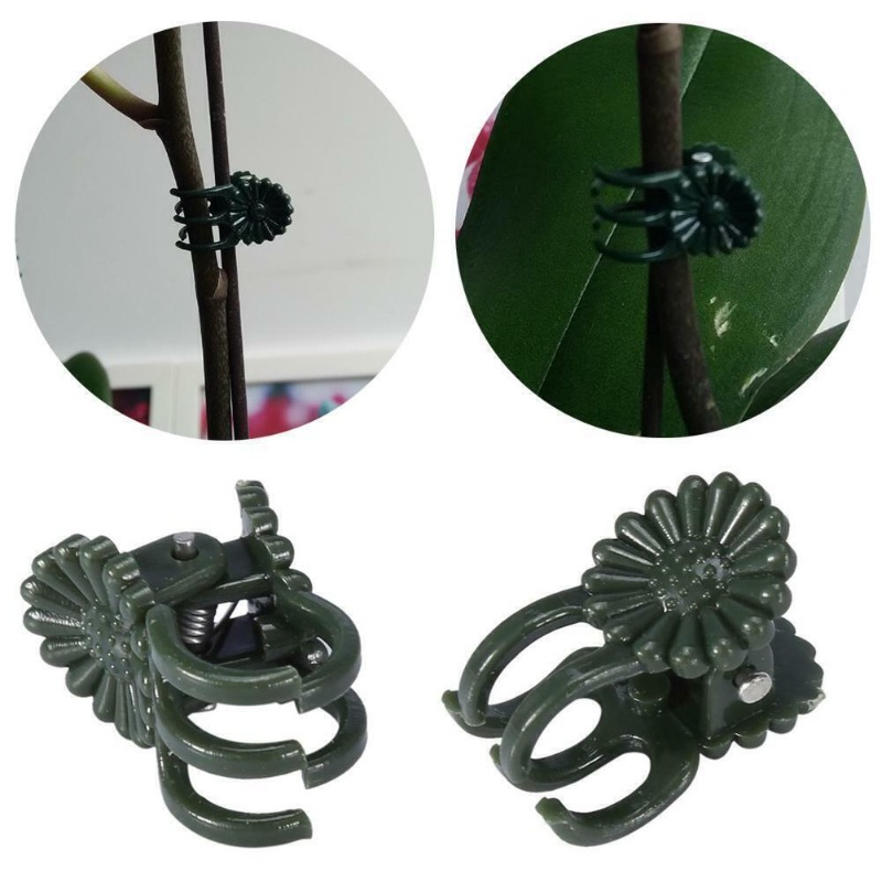 50 Buah Penjepit Tanaman Hijau - Gardening Tools For Vines ulasan dan harga
