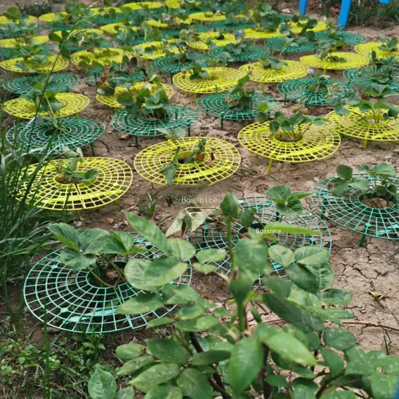 1 Buah Rak Penyangga Tanaman S - Gardening Tools For Vines ulasan dan harga
