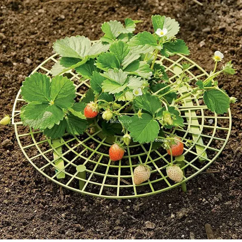 1 Buah Rak Penyangga Tanaman S - Gardening Tools For Vines ulasan dan harga