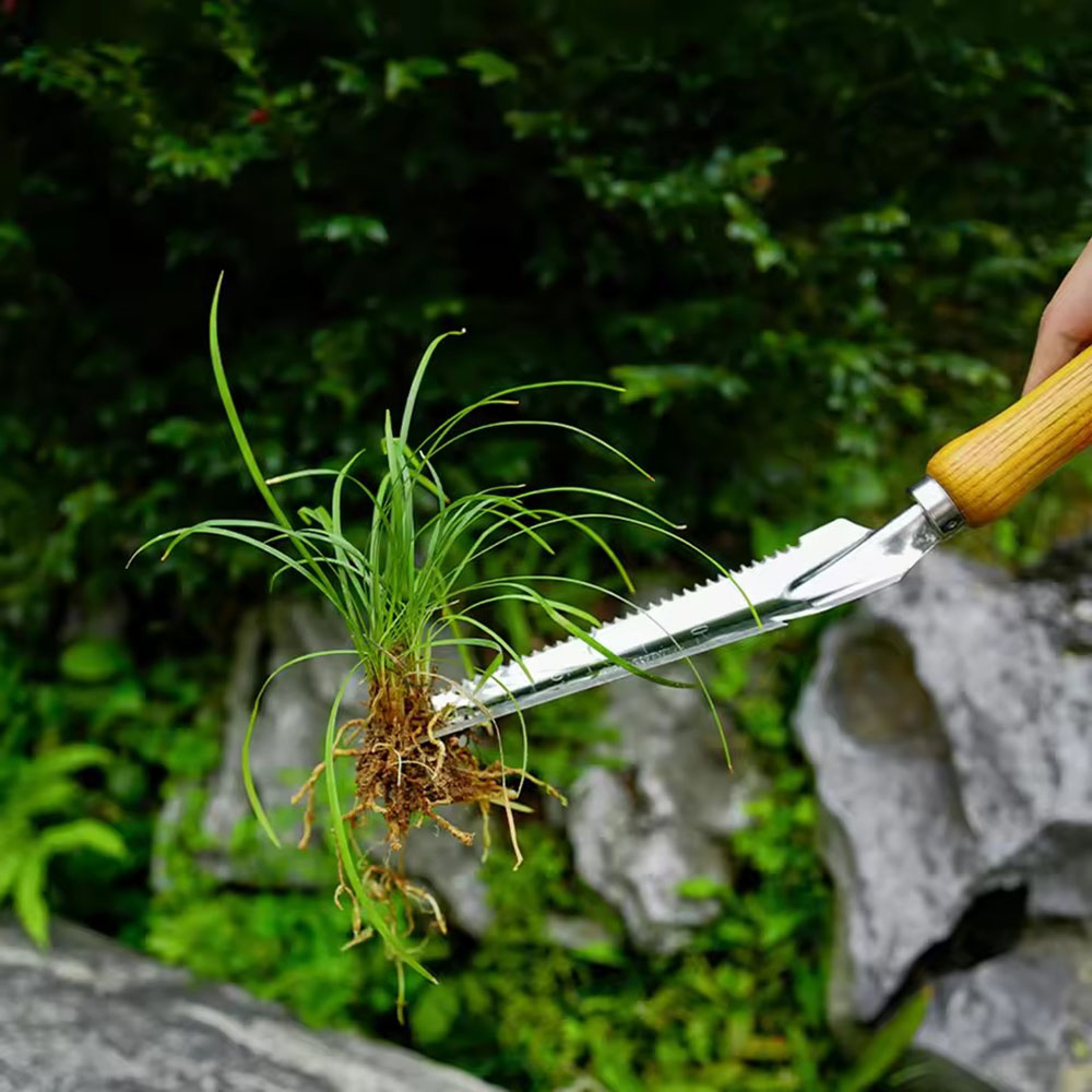 Alat Pembersih Gulma dari Baja - Gardening Tools Sharp ulasan dan harga