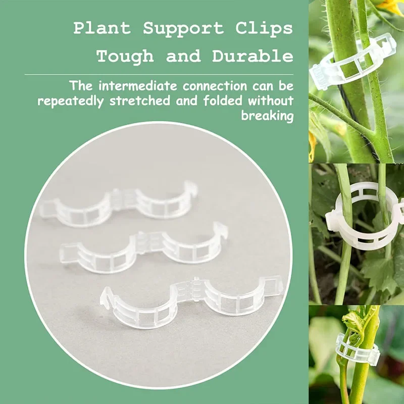 100 buah klip perbaikan tanama - Gardening Tools For Vines ulasan dan harga