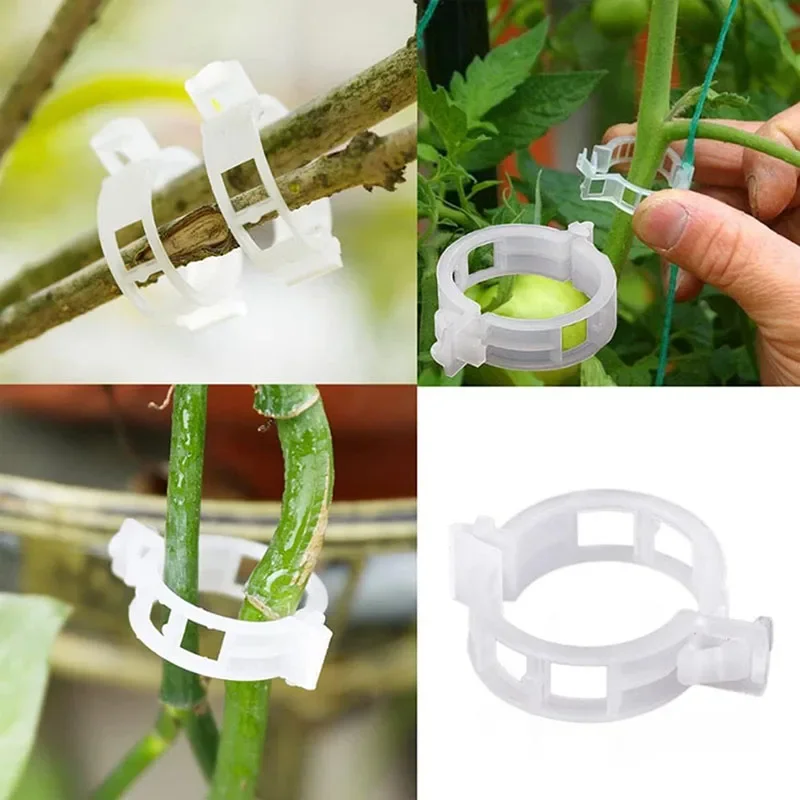 100 buah klip perbaikan tanama - Gardening Tools For Vines ulasan dan harga