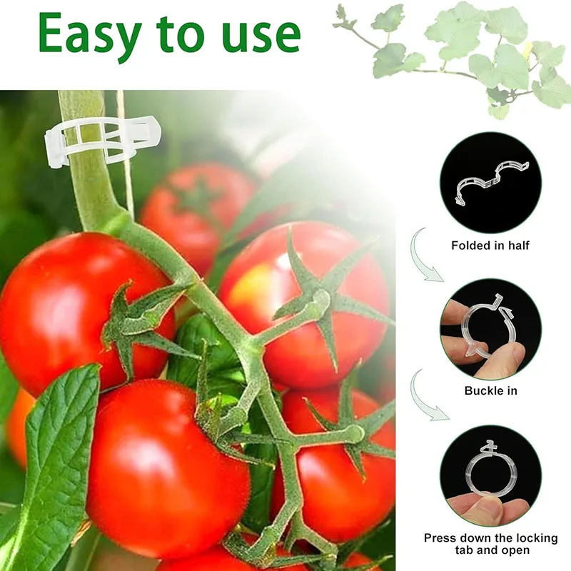 100 buah klip perbaikan tanama - Gardening Tools For Vines ulasan dan harga