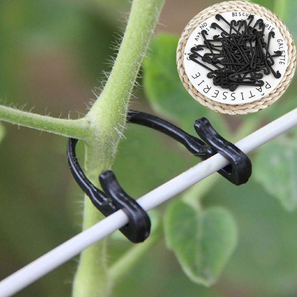 50-500PCS Penjepit Pengikat Ta - Gardening Tools For Vines ulasan dan harga