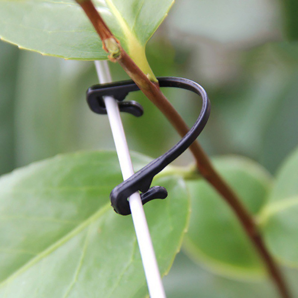 50-500PCS Penjepit Pengikat Ta - Gardening Tools For Vines ulasan dan harga