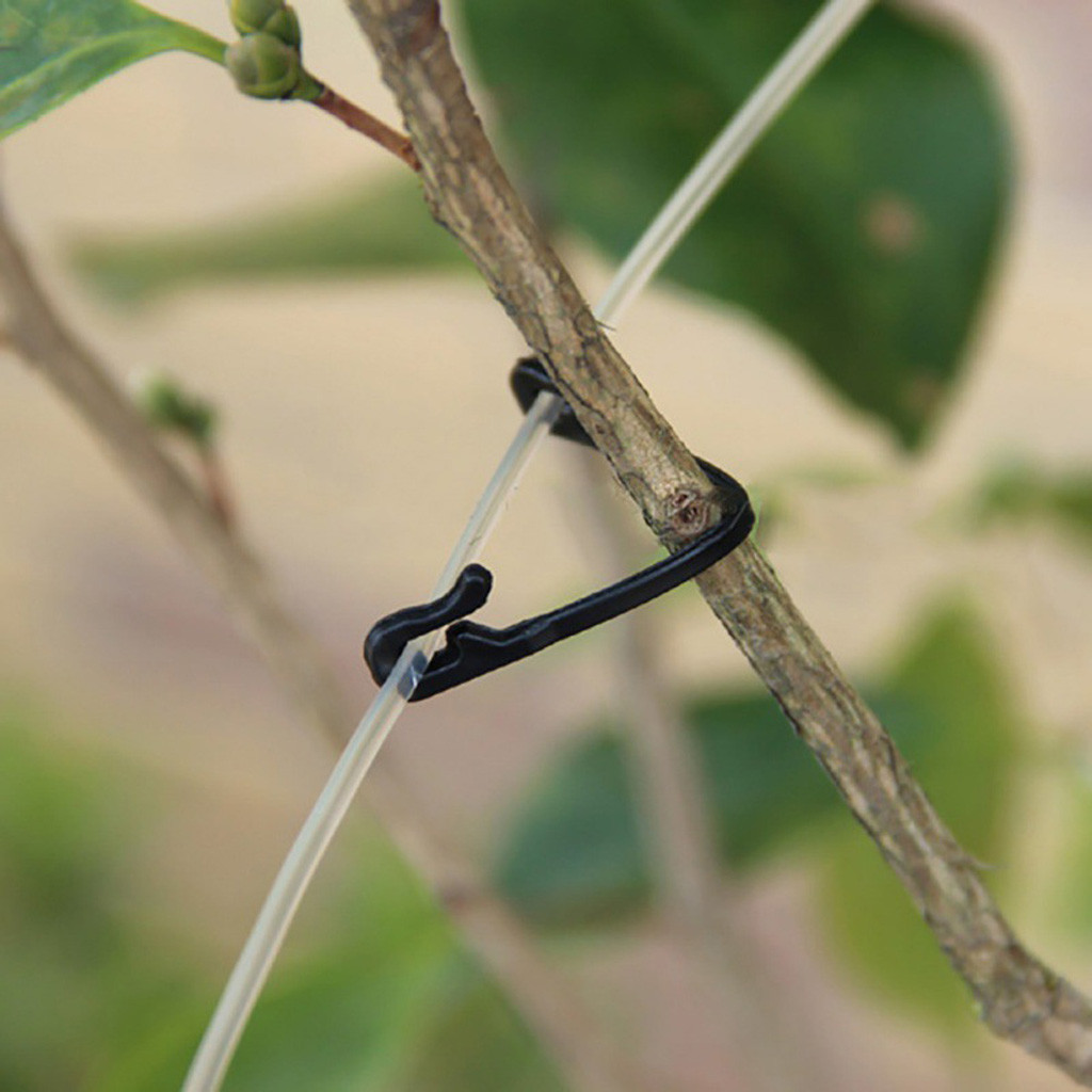 50-500PCS Penjepit Pengikat Ta - Gardening Tools For Vines ulasan dan harga