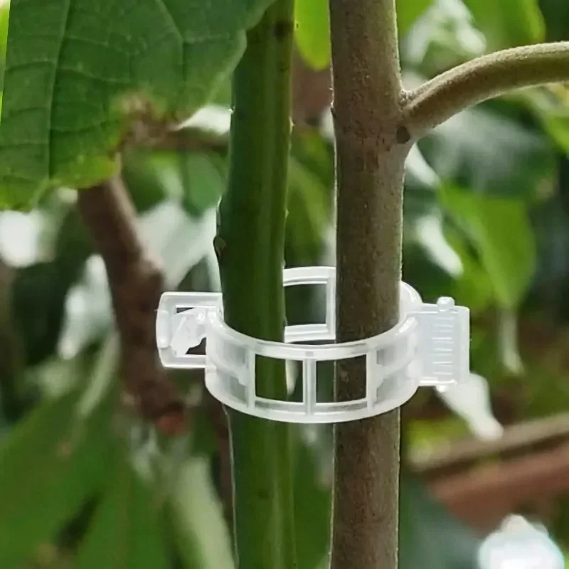 Klip Penyangga Tanaman Plastik - Gardening Tools For Vines ulasan dan harga