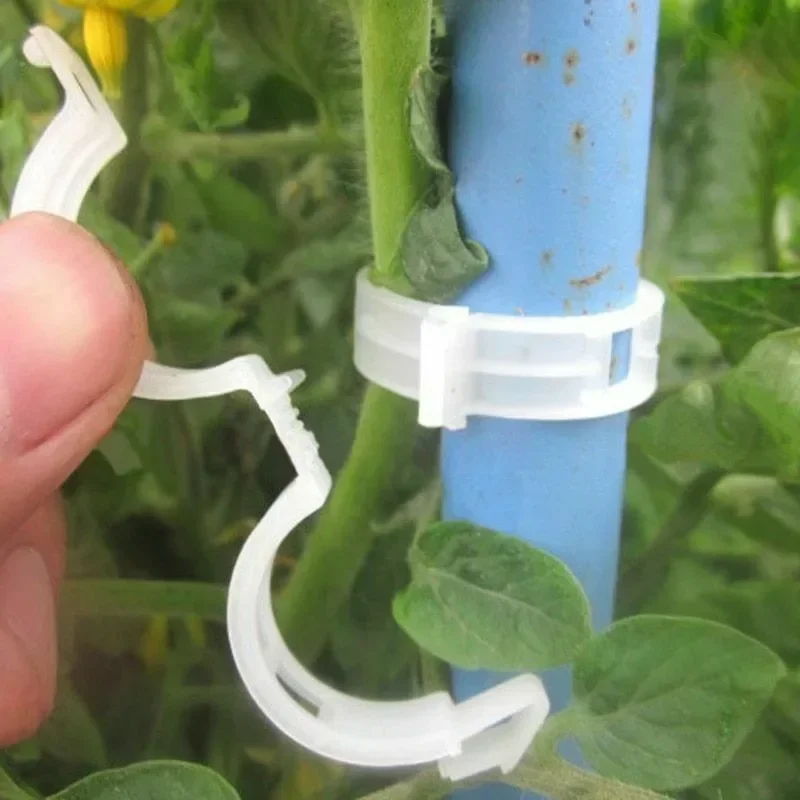 Klip Penyangga Tanaman Plastik - Gardening Tools For Vines ulasan dan harga