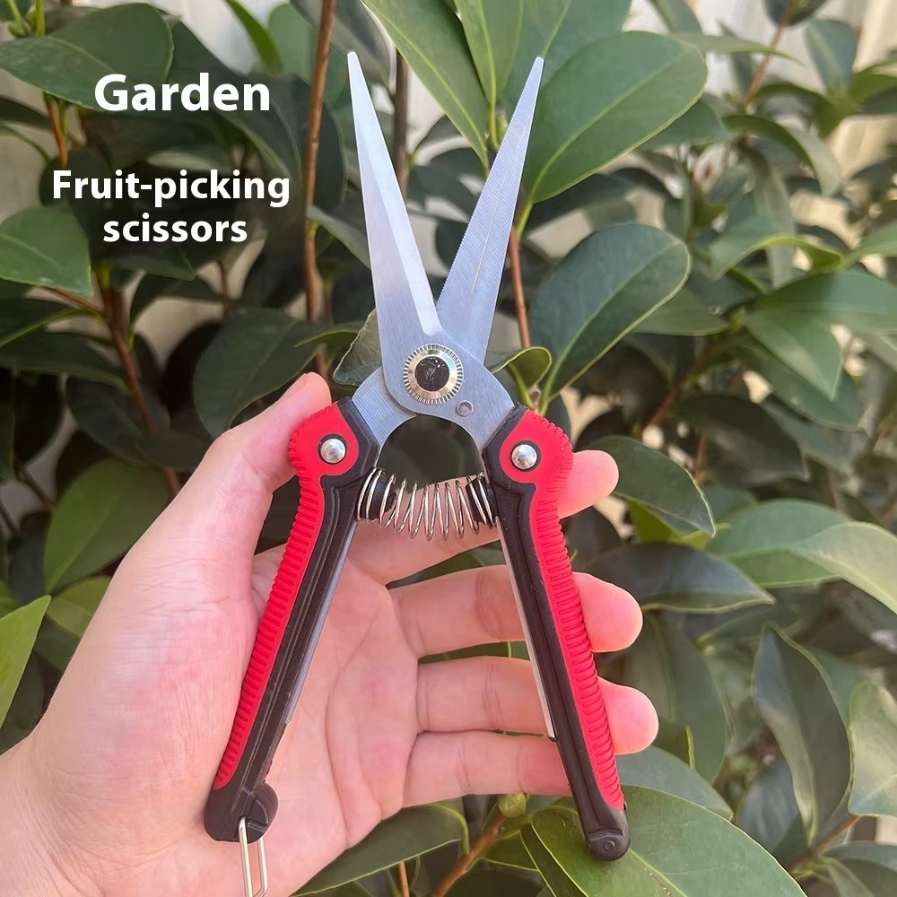 Gunting Cabang Profesional dar - Gardening Tools Sharp ulasan dan harga