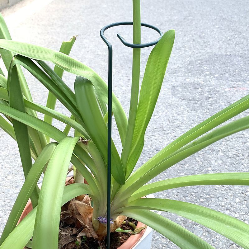 1-10 Buah Tempat Semak Tanaman - Gardening Tools For Vines ulasan dan harga