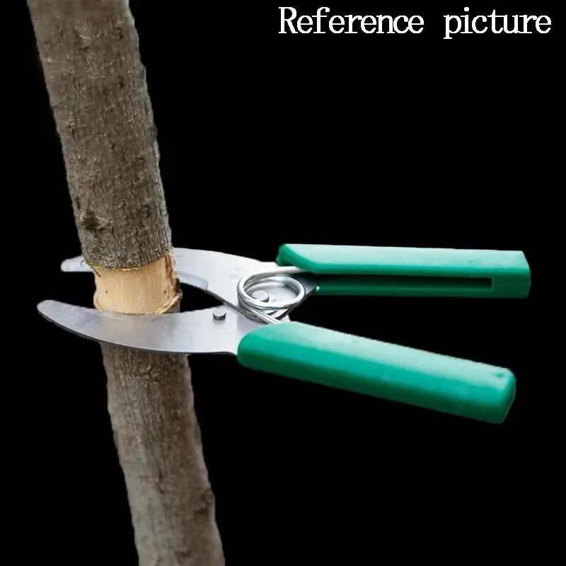 Pisau Pengupas Ranting Pohon T - Gardening Tools Sharp ulasan dan harga