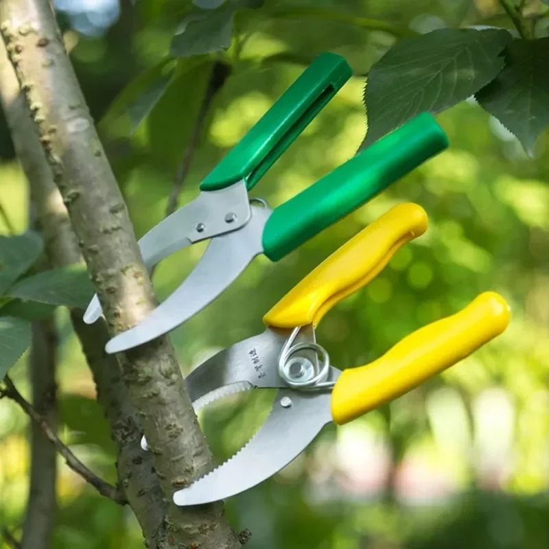 Pisau Pengupas Ranting Pohon T - Gardening Tools Sharp ulasan dan harga