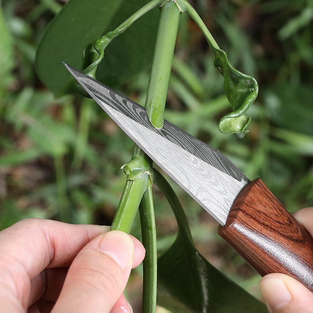 Pisau Cangkok Tajam dengan Gag - Gardening Tools Sharp ulasan dan harga