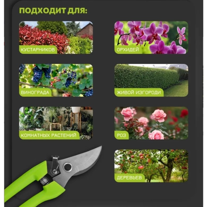 【PENURUNAN HARGA】Alat Pemangka - Gardening Tools Price ulasan dan harga