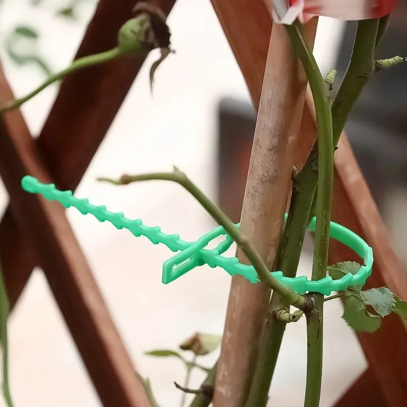 Kabel Pengikat Tanaman Taman y - Gardening Tools For Vines ulasan dan harga