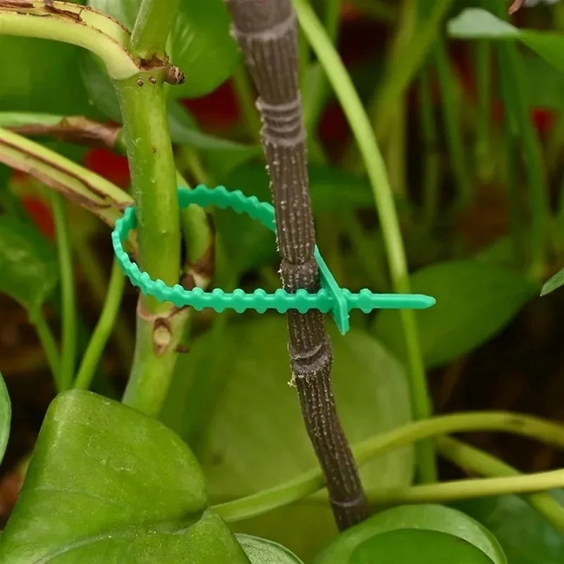 Kabel Pengikat Tanaman Taman y - Gardening Tools For Vines ulasan dan harga