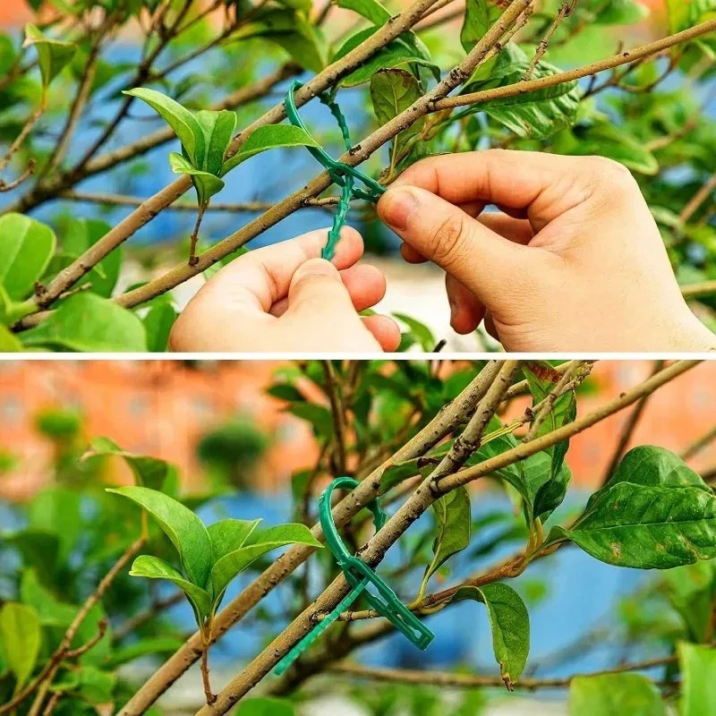 Kabel Pengikat Tanaman Taman y - Gardening Tools For Vines ulasan dan harga