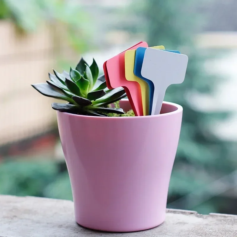 20 Buah Label Nama Tanaman Pla - Gardening Tools With Names ulasan dan harga