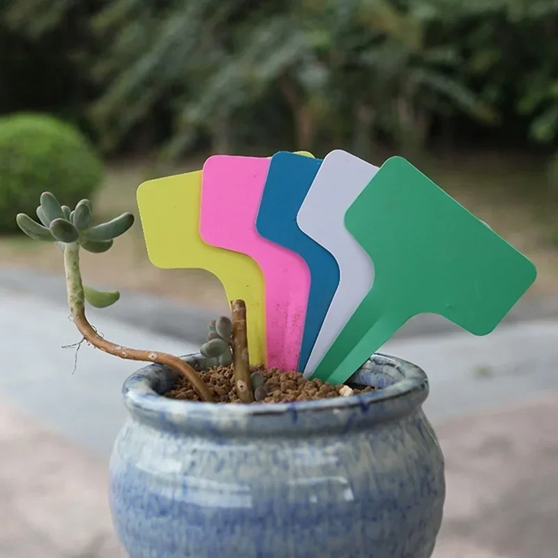 20 Buah Label Nama Tanaman Pla - Gardening Tools With Names ulasan dan harga