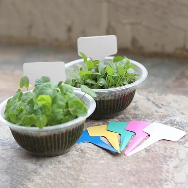 20 Buah Label Nama Tanaman Pla - Gardening Tools With Names ulasan dan harga