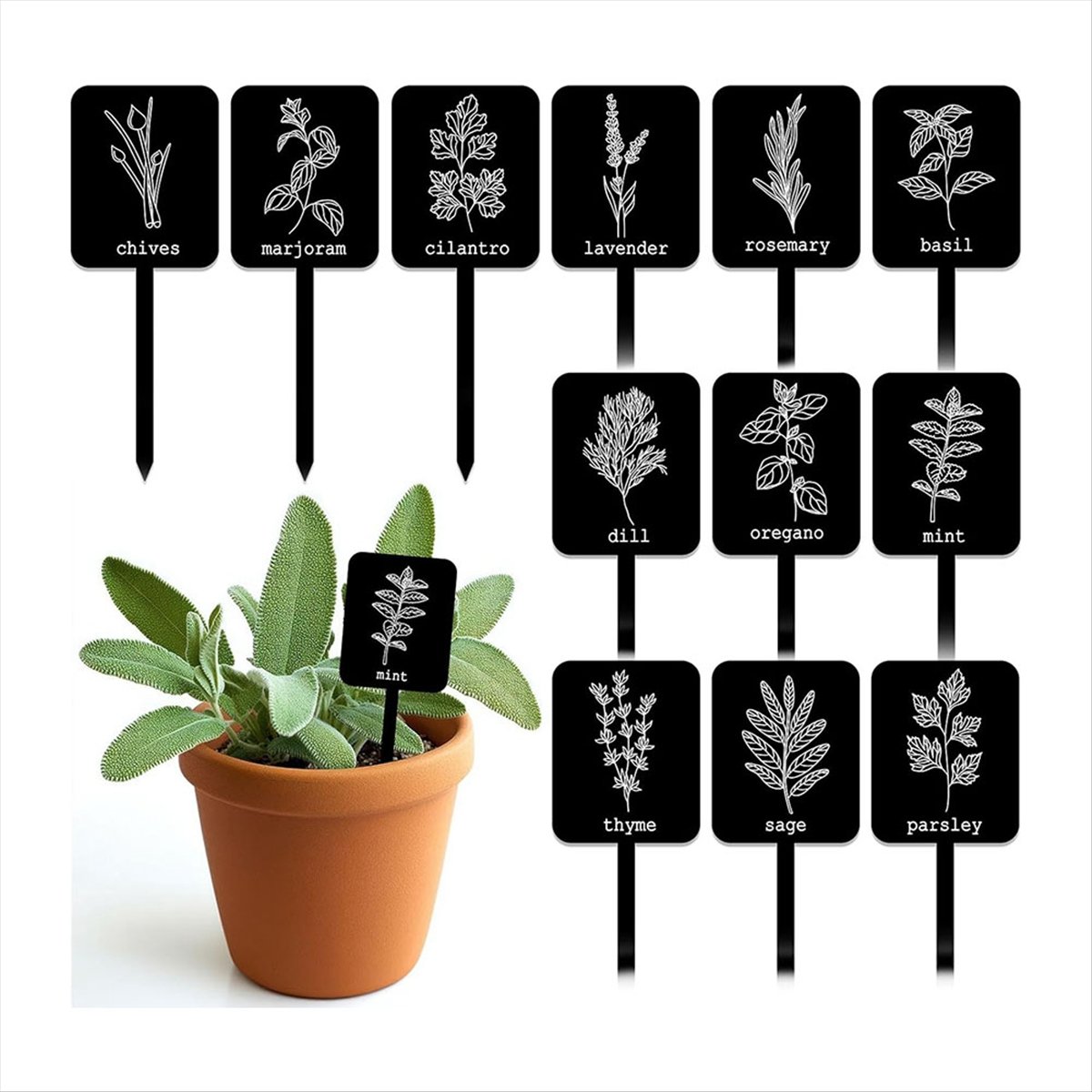 AA14 24 Buah Label Tanaman Akr - Gardening Tools With Names ulasan dan harga