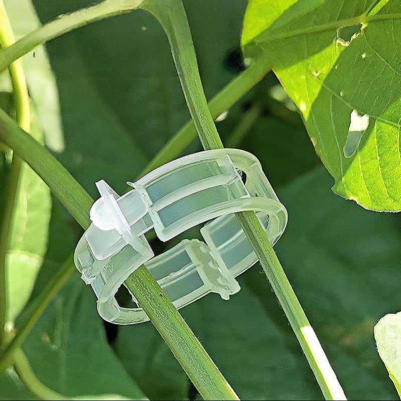 300/50 Buah Klip Penyangga Tan - Gardening Tools For Vines ulasan dan harga